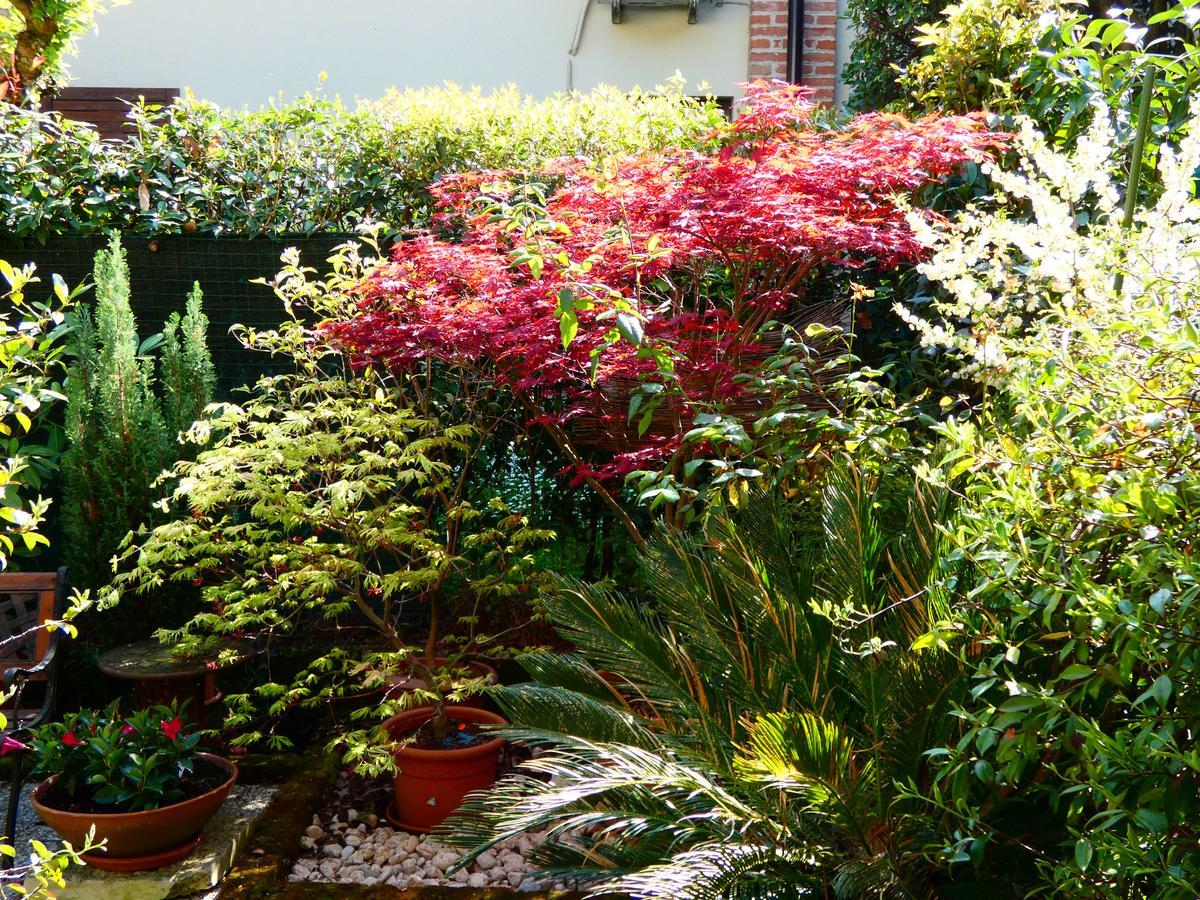 Garden Sweet House Desenzano Apartment Desenzano del Garda Exterior photo
